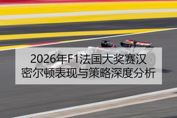 2026年F1法国大奖赛汉密尔顿表现与策略深度分析