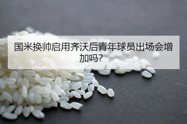 国米换帅启用齐沃后青年球员出场会增加吗？