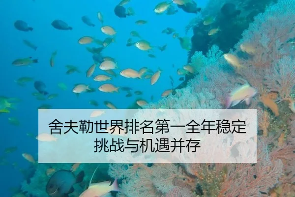 舍夫勒世界排名第一全年稳定 挑战与机遇并存