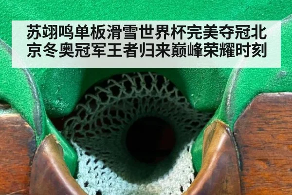 苏翊鸣单板滑雪世界杯完美夺冠北京冬奥冠军王者归来巅峰荣耀时刻